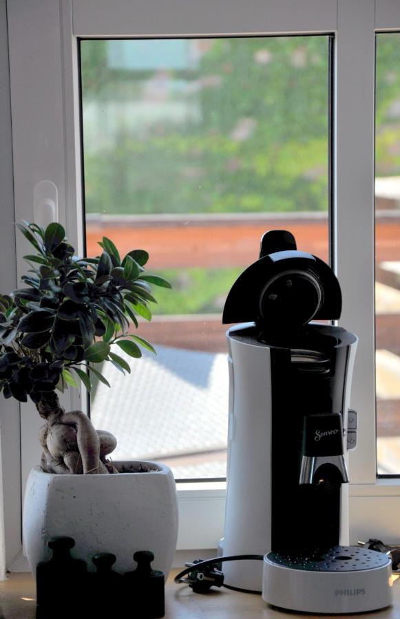 Gemuetliche Dachwohnung Mit Kleiner Oder Grosser Dachterrasse Nebeneinander Wolmirstedt Eksteriør bilde